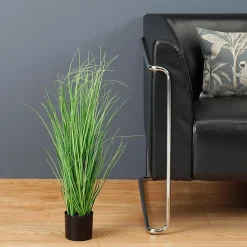 Hierba Decorativa><noscript><img width=