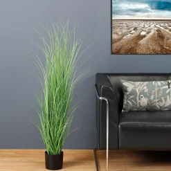 Hierba Decorativa><noscript><img width=