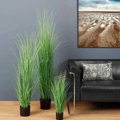Hierba Decorativa><noscript><img width=