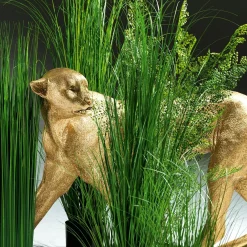 Hierba Decorativa><noscript><img width=