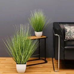 Hierba Decorativa><noscript><img width=