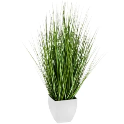 Plantas De Interior|Hierba Decorativa>DecoWoerner Deco Hierba Cebra En Maceta Blanca 78 Cm verde