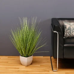 Plantas De Interior|Hierba Decorativa><noscript><img width=