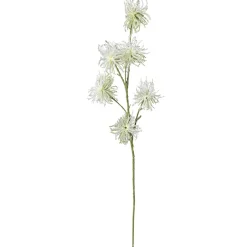 Ramas Y Ramitas>DecoWoerner Decoración Del Puesto De Frutas "Wild Vine 87 Cm blanco