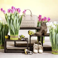 Decoración De Animales|Decoración De Primavera><noscript><img width=