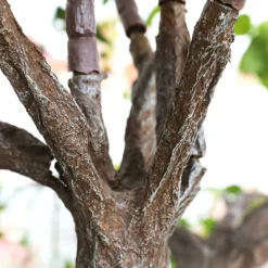 Decoración De Primavera|Árboles Artificiales><noscript><img width=