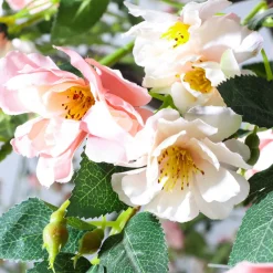 Decoración De Primavera|Árboles Artificiales><noscript><img width=