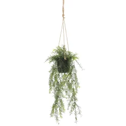 Plantas Colgantes>DecoWoerner Espárrago Artificial Ornamental Asparagus Cesta Colgante 20 X 50 Cm verde