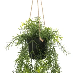 Plantas Colgantes>DecoWoerner Espárrago Artificial Ornamental Asparagus Cesta Colgante 20 X 50 Cm verde