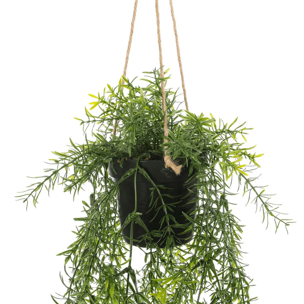 Plantas Colgantes>DecoWoerner Espárrago Artificial Ornamental Asparagus Cesta Colgante 20 X 50 Cm verde
