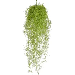 Plantas Colgantes|Plantas Artificiales Ignífugas>DecoWoerner Espárrago Artificial Semáforo Ignífugo 75 Cm B1 verde