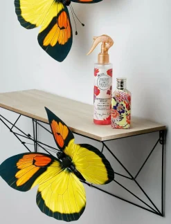 Expositores Para Tiendas|Decoración Natural><noscript><img width=