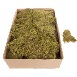 Decoración Natural|Césped Artificial>DecoWoerner Esteras De Musgo, Placas De Musgo 2 Kg verde