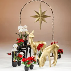 Decoración Navideña Xxl|Estrella De Navidad><noscript><img width=