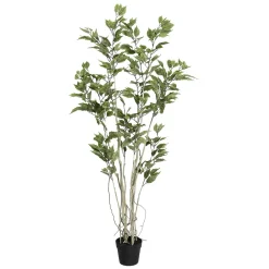 Plantas Verdes|Plantas De Interior>DecoWoerner Ficus Artificial En Maceta verde