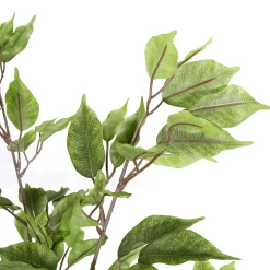 Plantas Verdes|Plantas De Interior><noscript><img width=