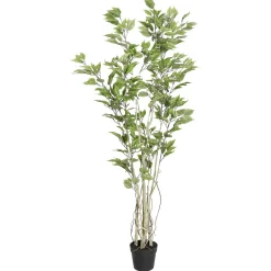 Plantas Verdes|Plantas De Interior><noscript><img width=