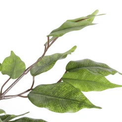 Plantas Verdes|Plantas De Interior><noscript><img width=