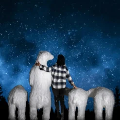 Decoración De Animales|Decoración De Invierno><noscript><img width=
