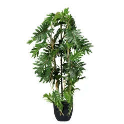 Plantas Verdes|Plantas De Interior>DecoWoerner Filodendro Partido En Maceta Negra verde
