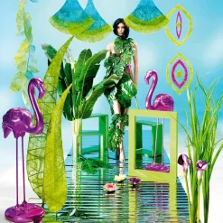 Decoración De Animales><noscript><img width=