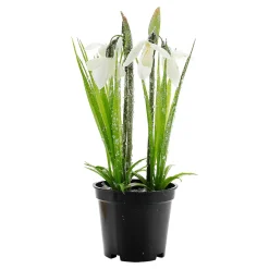 Decoración De Primavera|Flores Artificiales>DecoWoerner Flor Artificial Campanilla De Invierno En Maceta, 20 Cm De Altura blanco