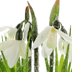 Decoración De Primavera|Flores Artificiales>DecoWoerner Flor Artificial Campanilla De Invierno En Maceta, 20 Cm De Altura blanco