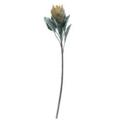 Decoración De Otoño|Flores Artificiales>DecoWoerner Flor Artificial Protea , 72 Cm verde