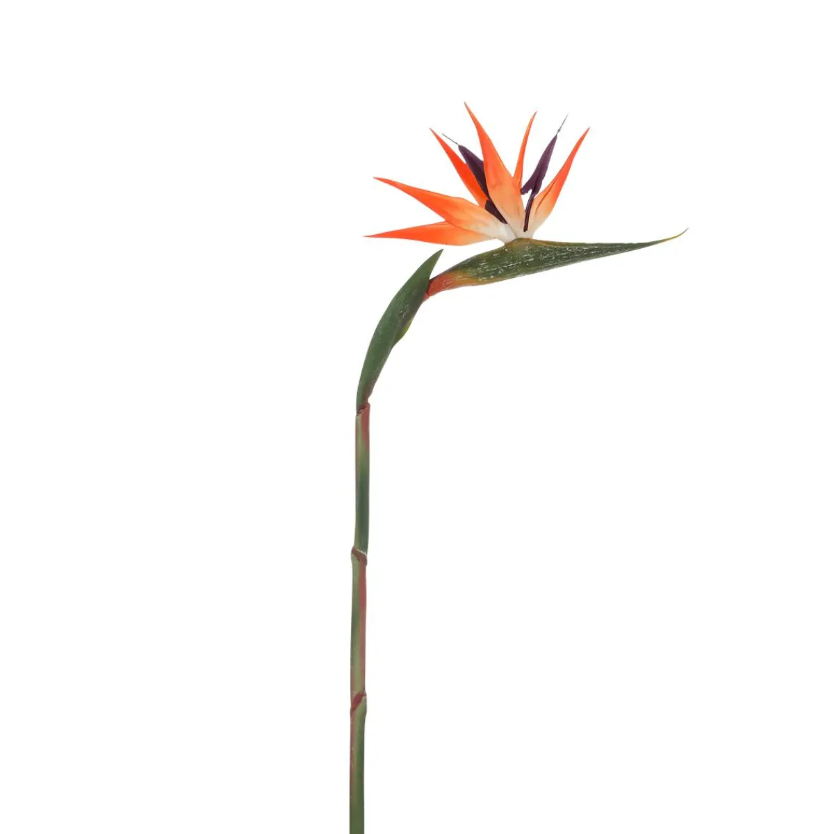 Decoración De Verano|Plantas De Interior>DecoWoerner Flor Artificial Strelizias Ave Del Paraíso 14 X 84 Cm naranja