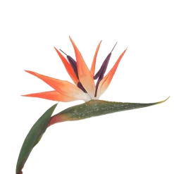Decoración De Verano|Plantas De Interior>DecoWoerner Flor Artificial Strelizias Ave Del Paraíso 14 X 84 Cm naranja