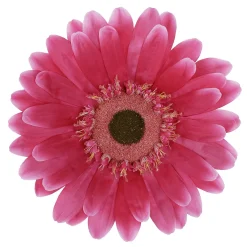 Decoración De Primavera|Cabezas De Flores Artificiales>DecoWoerner Flor De Gerbera Gigante Artificial, Ø 45 Cm, Color Fucsia rosa