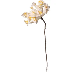 Decoración De Primavera|Flores Artificiales>DecoWoerner Flor De Plástico Frangipani 85 Cm blanco