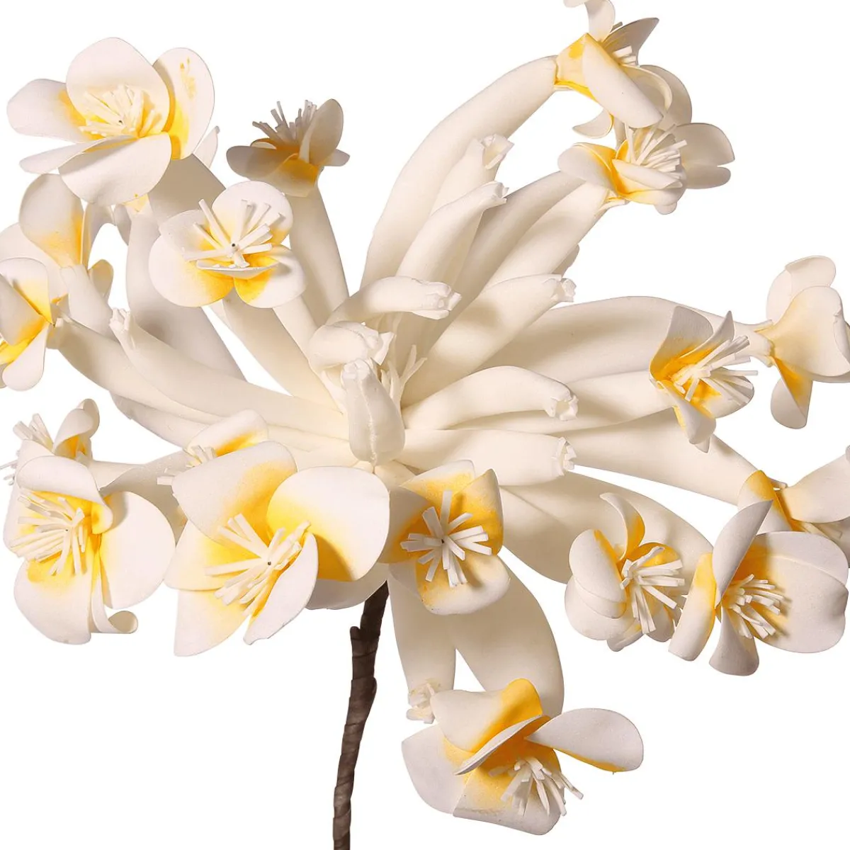 Decoración De Primavera|Flores Artificiales>DecoWoerner Flor De Plástico Frangipani 85 Cm blanco
