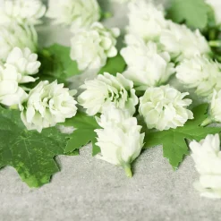 Decoración Dispersa|Decoración Temática>DecoWoerner Flores Artificiales De Lúpulo 30 Unidades verde