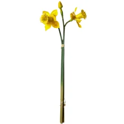 Decoración De Otoño|Flores Artificiales>DecoWoerner Flores Artificiales, Ramo De Narcisos 3 Piezas, 52 Cm amarillo