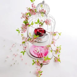 Decoración Dispersa|Decoración Temática><noscript><img width=