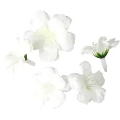 Decoración Dispersa|Decoración Temática><noscript><img width=