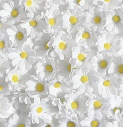 Decoración Dispersa|Decoración De Primavera><noscript><img width=