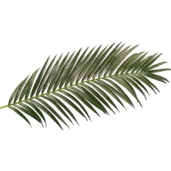 Decoración De Verano|Hojas>DecoWoerner Fronda De Areca Gigante Decorativa, Longitud 180 Cm verde