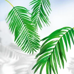 Decoración De Verano|Hojas><noscript><img width=