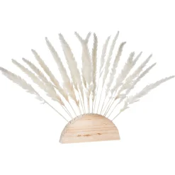 Decoración Natural|Decoración De Otoño>DecoWoerner Fronda De Hierba De La Pampa Blanca Al Palo 45 Cm blanco