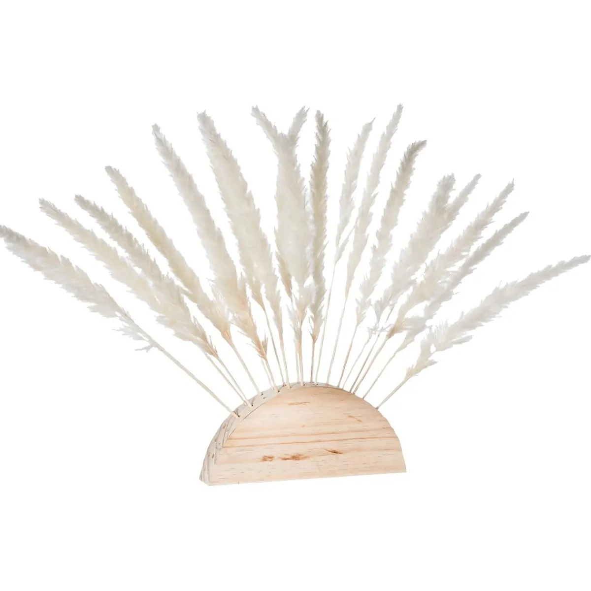 Decoración Natural|Decoración De Otoño>DecoWoerner Fronda De Hierba De La Pampa Blanca Al Palo 45 Cm blanco
