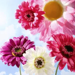 Decoración De Primavera|Cabezas De Flores Artificiales><noscript><img width=