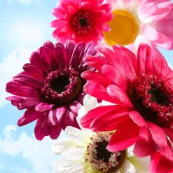 Decoración De Primavera|Cabezas De Flores Artificiales><noscript><img width=