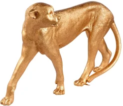 Decoración De Animales><noscript><img width=