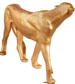 Decoración De Animales><noscript><img width=