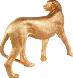 Decoración De Animales><noscript><img width=