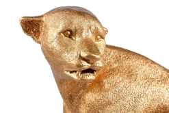 Decoración De Animales><noscript><img width=