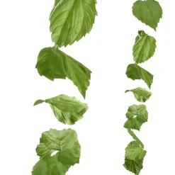 Decoración De Primavera|Decoración De Otoño>DecoWoerner Guirnalda Artificial De Hojas De Abedul 160 Cm verde