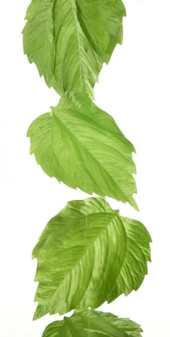 Decoración De Primavera|Decoración De Otoño>DecoWoerner Guirnalda Artificial De Hojas De Abedul 160 Cm verde